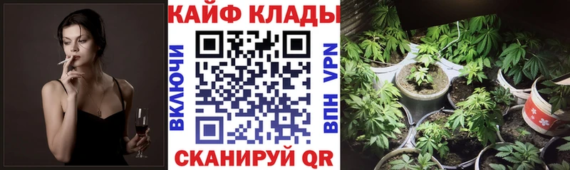 Наркотические вещества Волгодонск Галлюциногенные грибы  Cocaine  СОЛЬ  Меф  ГАШИШ 