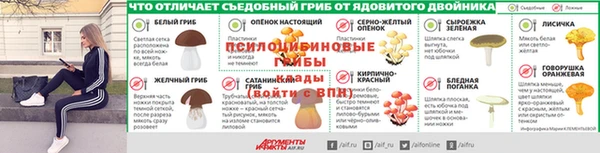 spice Армянск