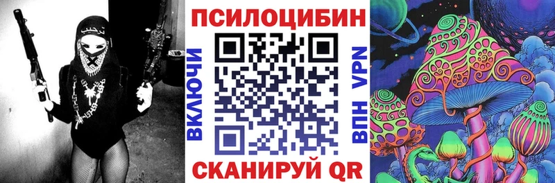 хочу наркоту Волгодонск hydra сайт Псилоцибиновые грибы Magic Shrooms